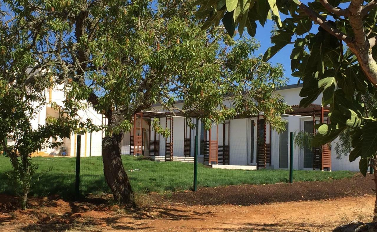 Quinta Da Rocha Portimao Hotel Mexilhoeira Grande Exterior foto